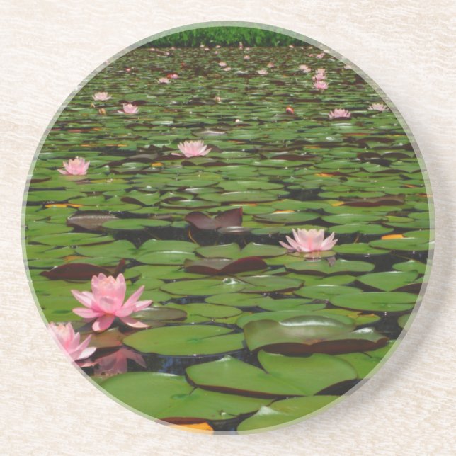 Pink lotus water lily flower pond coaster (Front)