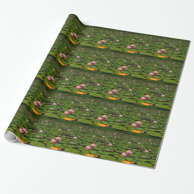Pink lotus water lily flower pond wrapping paper (Unrolled)