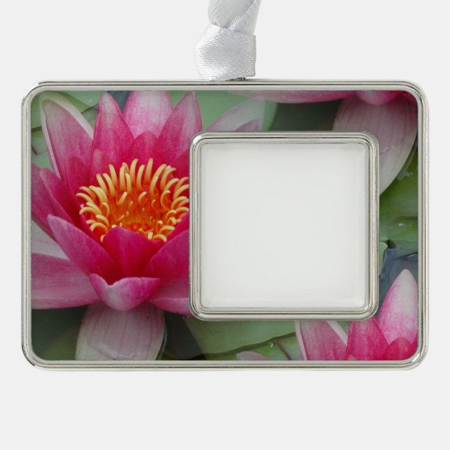 Pink Lotus Water Lily Framed Ornament (Front)