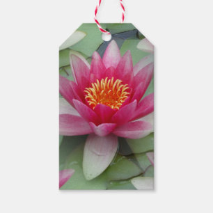 Pink Lotus Water Lily Gift Tags