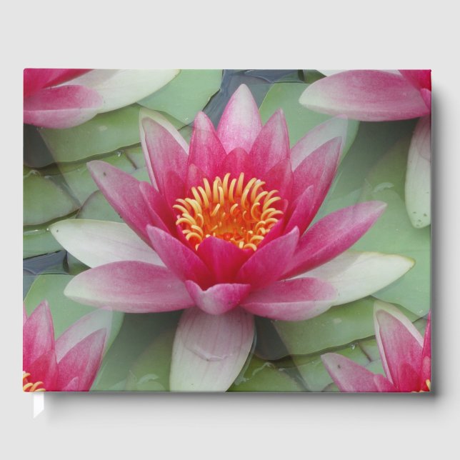 Pink Lotus Water Lily Guest Book (Front)
