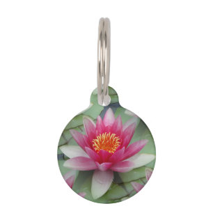 Pink Lotus Water Lily Pet Tag