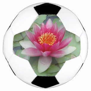 Pink Lotus Water Lily Soccer Ball