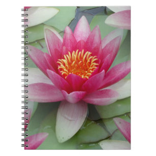 Pink Lotus Water Lily Spiral Photo Notebook