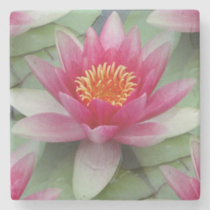 Pink Lotus Water Lily Stone Coaster