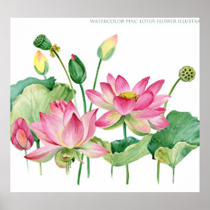 Pink Lotus Watercolor Border Poster