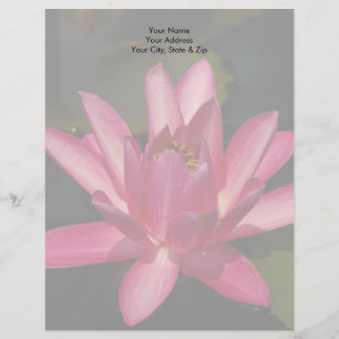 Pink Lotus Waterlily Letterhead Design