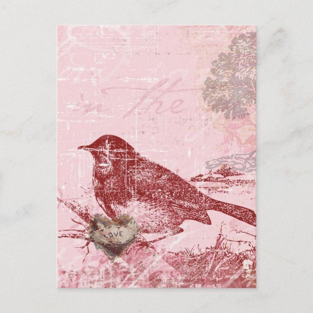 Pink Love Bird Postcard (Front)