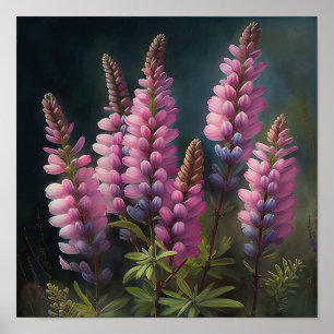Pink Lupine Flower Art Print Poster