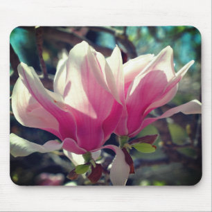 Pink Magnolia Flower Blossoms  Mouse Pad