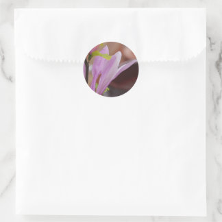 Pink Magnolia Flower Sticker
