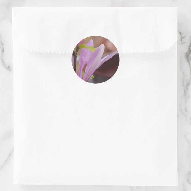 Pink Magnolia Flower Sticker (Bag)
