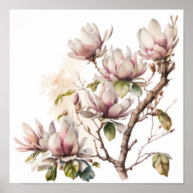 Pink Magnolia Flowers Art Print Poster (Front)