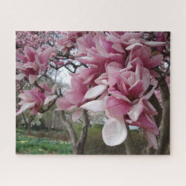 Pink Magnolia Jigsaw Puzzle (Horizontal)