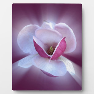 pink magnolia shades plaque