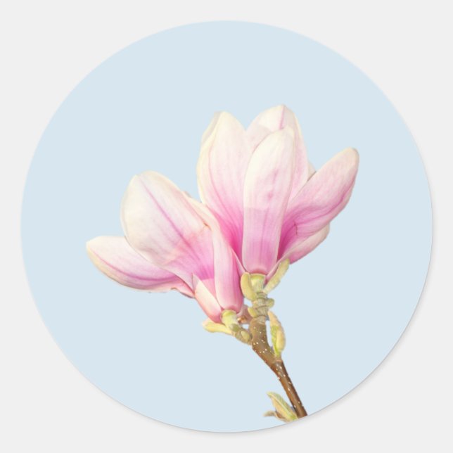 Pink Magnolia Sticker (Front)