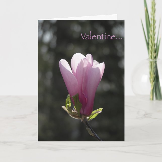 Pink Magnolia Valentine's Day Card (Front)
