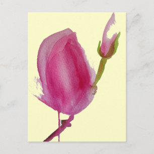 Pink Magnolia watercolour flower art Postcard
