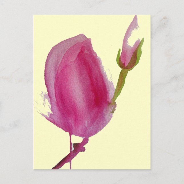 Pink Magnolia watercolour flower art Postcard (Front)