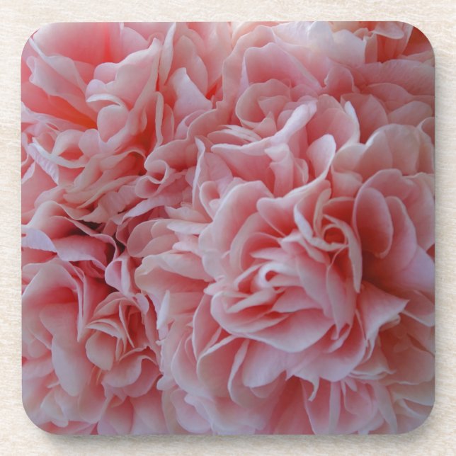  Pink Mallow Coaster (Front)