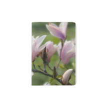 Pink Mangolia flowers 