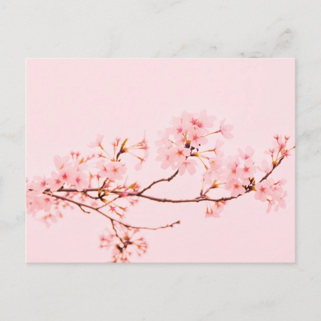 pink marble flower Postcard (Front)