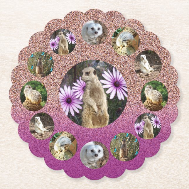 Pink Meerkat Surprise, Paper Party Coasters (Front)