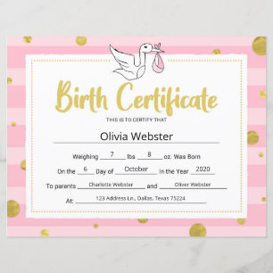 Pink Milestone Certificate Baby Birth Certificate