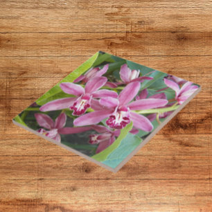 Pink Mini Cymbidium Orchids Floral Ceramic Tile
