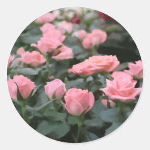 Pink Mini Roses Digital Flower Painting Classic Round Sticker