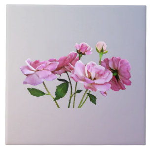 Pink Miniature Roses Ceramic Tile