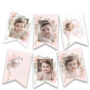 Pink miss onederful 1st birthday monthly photo ban bunting