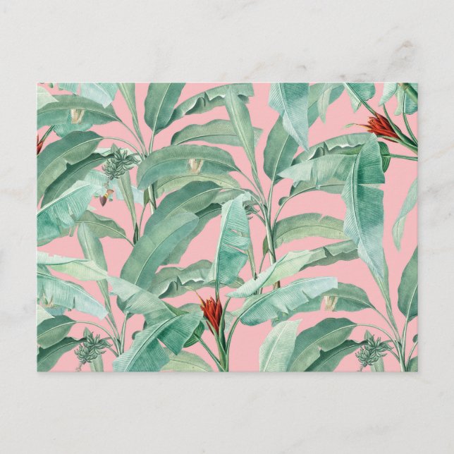 Pink Modern Watercolor Tropical Banana Palm Leaves Holiday Postcard (Front)