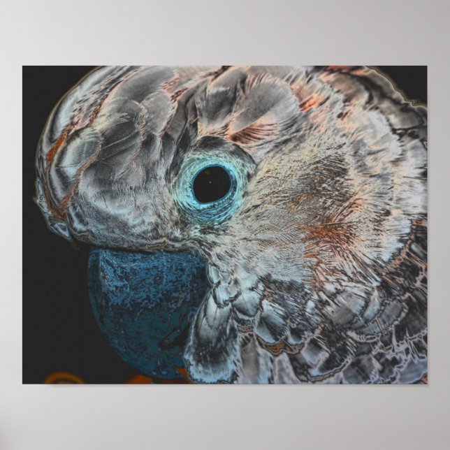 Pink Moluccan Cockatoo Fantasy Parrot Poster (Front)