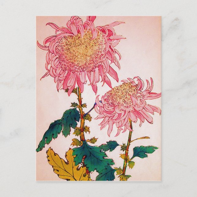 Pink Mondrian Floral Study Postcard (Front)