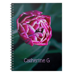 Pink moody tulip notebook