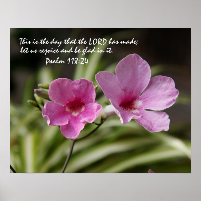 Pink Morning Glory w/ Verse from Psalm 118:24 Poster (Front)