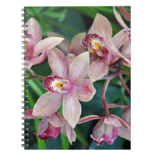 Pink moth orchids notebook