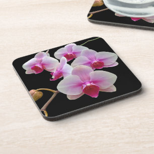 Pink Moth Orchids on Black - Phalaenopsis Coaster