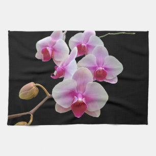 Pink Moth Orchids ON Black- Phalaenopsis Tea Towel