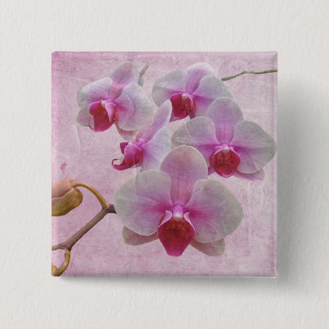 Pink Moth Orchids - Phalaenopsis 15 Cm Square Badge (Front)