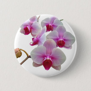 Pink Moth Orchids - Phalaenopsis 6 Cm Round Badge