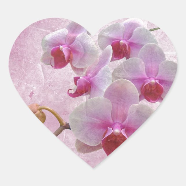 Pink Moth Orchids - Phalaenopsis Heart Sticker (Front)