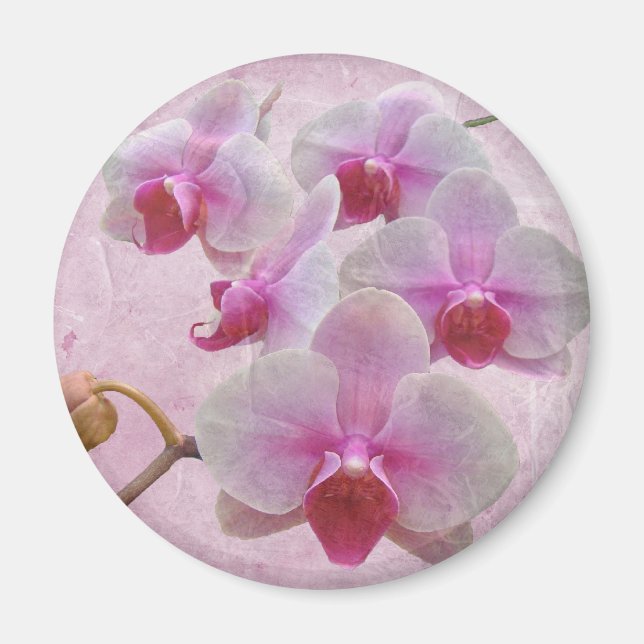 Pink Moth Orchids - Phalaenopsis Magnet (Front)