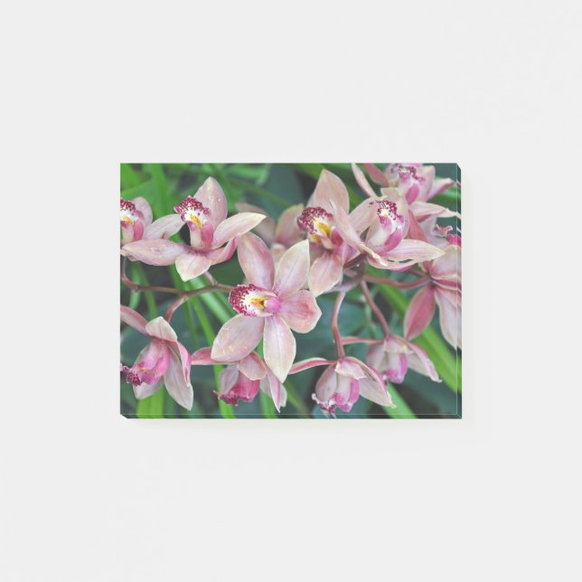 Pink moth orchids post-it notes (Front)