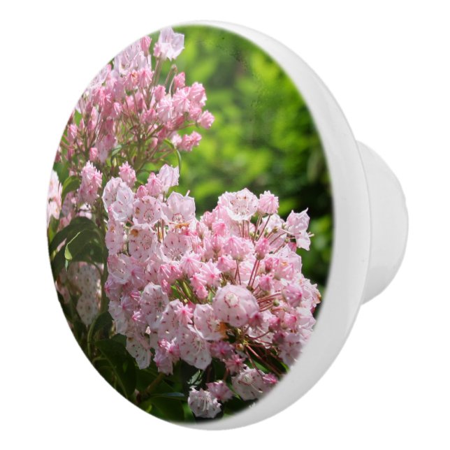 Pink Mountain Laurel Flowers  Ceramic Knob (Right)