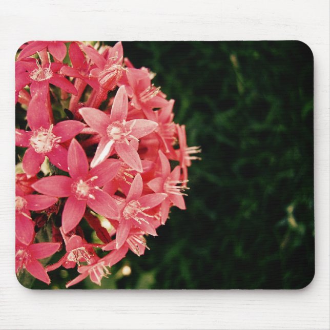 Pink Mouse Pad (Front)