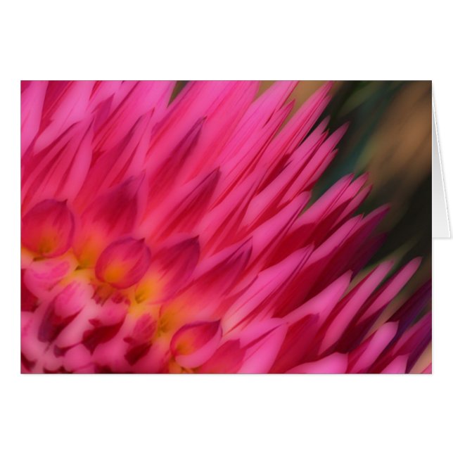 Pink-Mum (Front Horizontal)