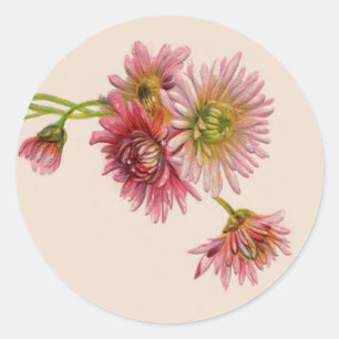 PINK MUMS by SHARON SHARPE Classic Round Sticker