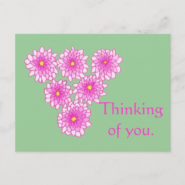 Pink Mums Flowers Thinking of you Postcards (Front)
